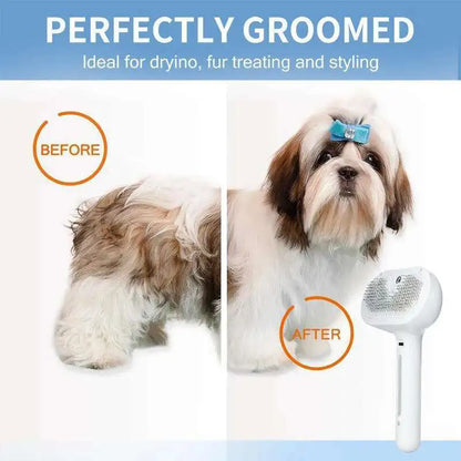 2-in-1 Pet Steam Brush & Massage Comb for Cats & Dogs